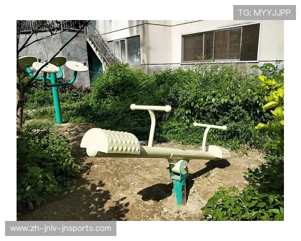 室外健身器材大全与选购建议